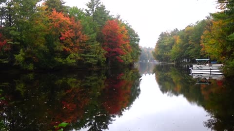 Fall Foliage