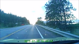 Beetle Sends Deer Flying