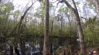 Swamp Diving In Buford Springs Cavern, Florida