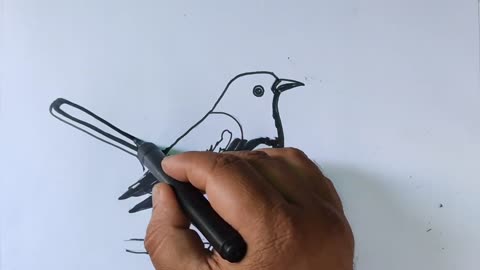 5 দিয়ে দোয়েল পাখি আঁকা l Magpie Drawing Easy by 5