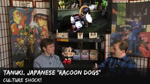 Culture Shock! Tanuki, Japanese Raccoon Dogs