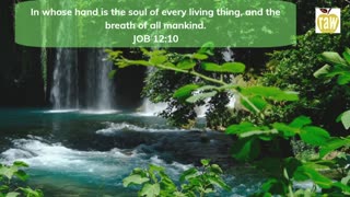 God's Promises JOB 12:10