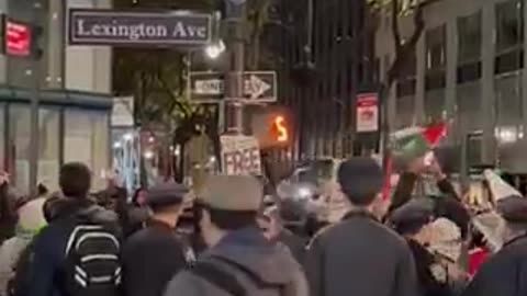 Pro Palestine dude takes down the American flag in New York while 50 cops watch him do it.