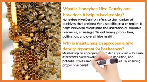 Honeybee Hive Density