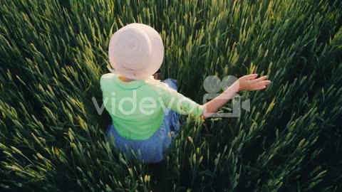 A Farmer Gently Strokes The Spears Of Green Wheat-A woman farmer gently strokes the ears of green wh