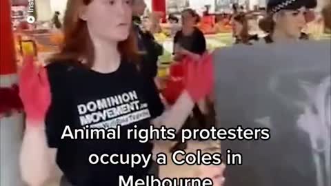 ONAnimalarighisiprotestersoccupy a Coles inMelbourne