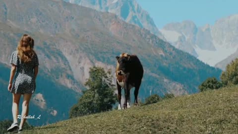 Young woman on a picnic dancing and the cow hovering around her with Rai Music