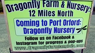 New business in town; Dragonfly Farm 7/16/24: