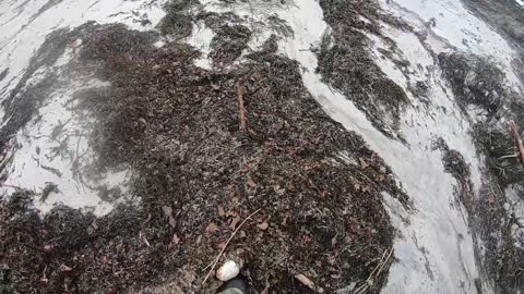 Beach Detecting After a Storm