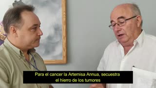 Josep Pamies : Artemisa la planta que puede hundir los laboratorios farmaceuticos Covid-19
