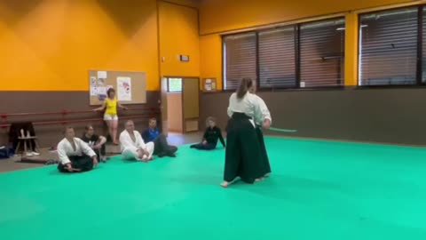 aikido