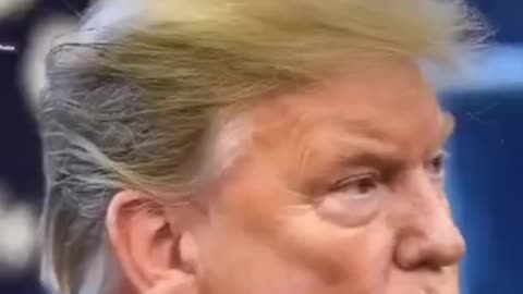 Dog hair Donald Trump Funny