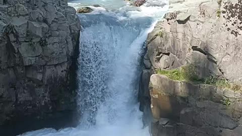 Aherbal waterfall
