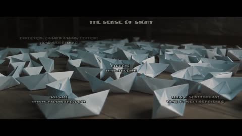 The Sense of Sight (one minute short)