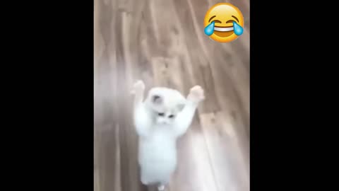 Best funniest animal videos ever 😜😜😜