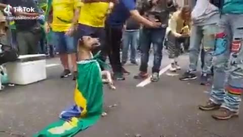 Dog Minhon mais famoso do Brasil