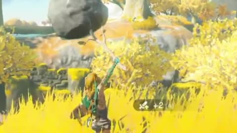 The Betrayal of the Sacred Tree: How Zelda's Tears Failed to Save the Kingdom