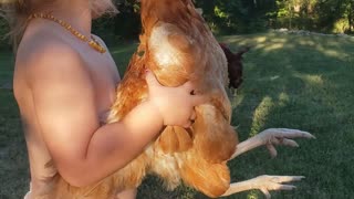 Chicken hostage