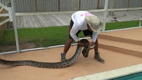 15 Foot MONSTER SNAKE Stuck in POOL DRAIN