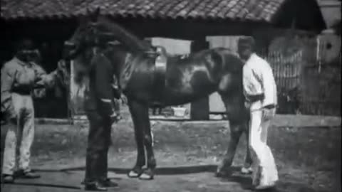 Horse Trick Riders (1895 Film) -- Directed By Louis Lumière -- Full Movie