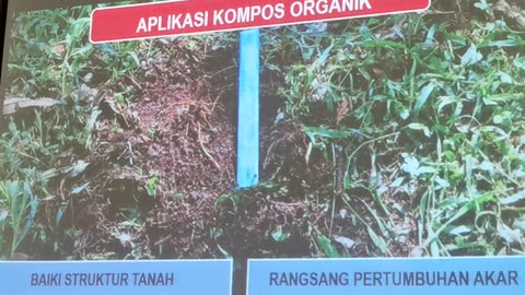 P16 Pembangunan Tanaman Durian, Mohd Ali Hanafiah, @Raub, 4 Jun 2024
