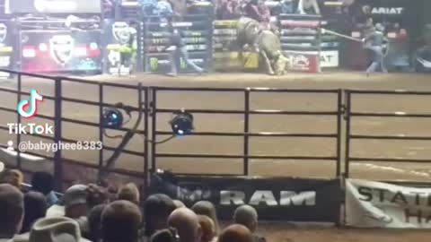 Bull THROWS rider AUSTRALIA