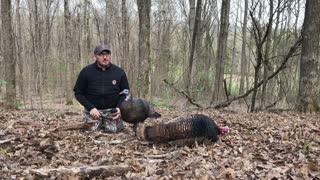 Get The Perfect POV Shot of Your Turkey Hunt
