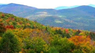 Fall Foliage