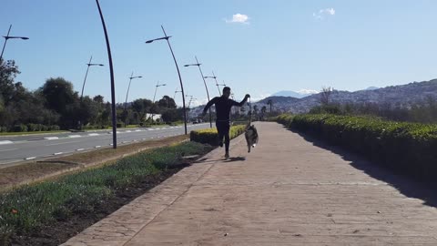 my husky dog and I run speed