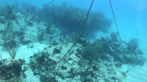 Ginger's Island, British Virgin Islands #3