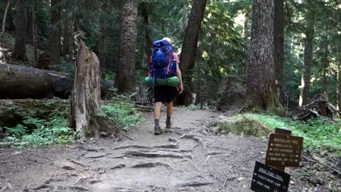 Mount Rainier Experience - Hike Mowich Lake to Carbon River