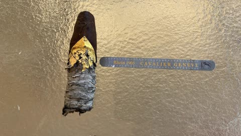 Cavalier Genève BII Vison Jalapa Cigar Review