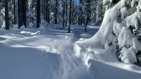 Serene Snow Hiking – Central Oregon – Swampy Lakes Sno-Park – 4K