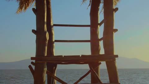 palm frond lifeguard station