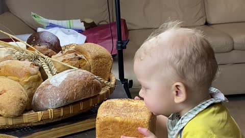 Toddler eating bread like a boss.🍞. 😂