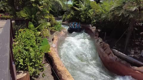 Top Things to Do at SeaWorld Orlando You Can’t Miss!