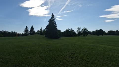 🐛 CenterPoint Park In Ottawa 🍊