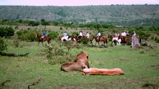 Embark on a horse riding safari in the Masai Mara