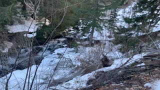 Ascending the Icy Forest Trail – Tamanawas Falls – Mount Hood – Oregon – 4K