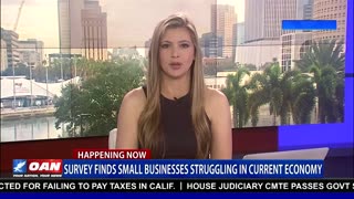 One America News Network - Survey Finds Small Businesses Struggling In Current Economy