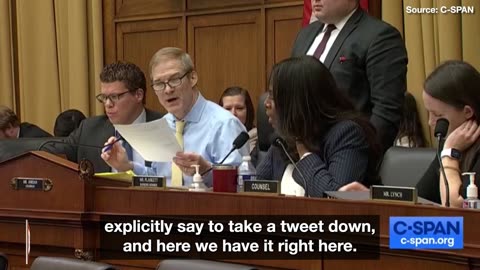 Jim Jordan Humiliates Fmr Adam Schiff Henchman Daniel Goldman