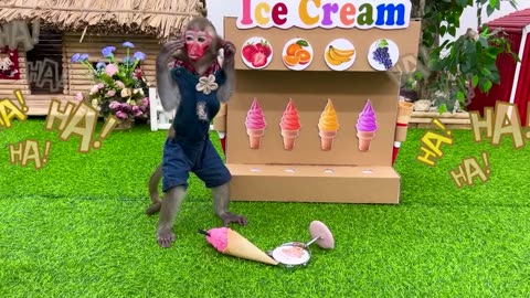 Baby Monkey playing with Colorful Ice Cream Vending Machine And puppy _ Baby Monkey Animal