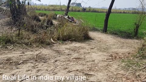 vlogs village in India uttar Pradesh morning daily routine life women's hard working