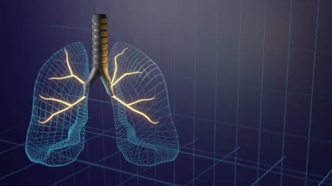 Lungs/Definition of Lungs