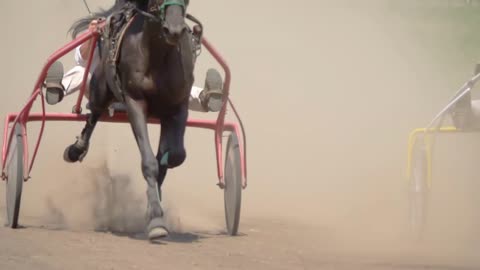 Two Horses Compete in Harness Racing on a Summer Day. Slow Motion