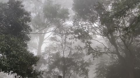 Nandi Hills BAngalore 2