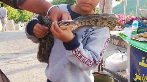 6 Years Old Boy holding a Snake
