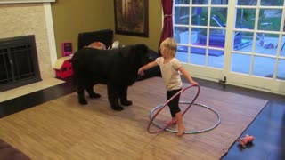 Toddler tries teaching dog to Hula Hoop