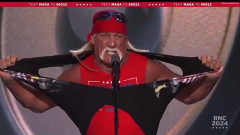 Hulk Hogan: Donald Trump is my hero