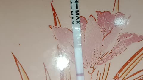 Live pregnancy test 6dpo